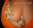 /album/walpapers/firefox-logo-jpg/